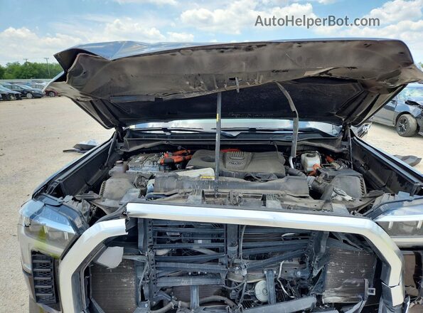 5TFJC5AB6PX002457 2023 TOYOTA TUNDRA Brown Vista interior trasera