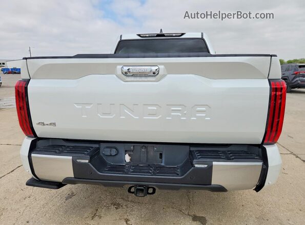 5TFJC5DB6PX038841 2023 TOYOTA TUNDRA Белый Вид сзади