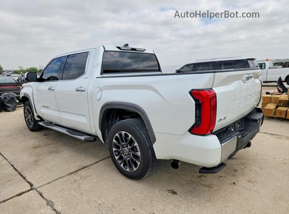 5TFJC5DB6PX038841 2023 TOYOTA TUNDRA Белый Задняя левая четверть