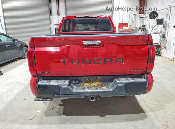 5TFJC5EC4SX008706 2025 TOYOTA TUNDRA Красный Вид сзади