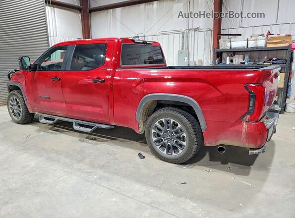 5TFJC5EC4SX008706 2025 TOYOTA TUNDRA Красный Задняя левая четверть