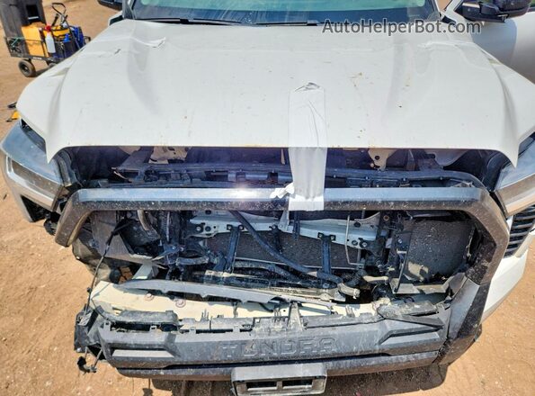 5TFKB5DA6NX046160 2022 TOYOTA TUNDRA White Vista interior trasera