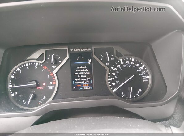 5TFKB5DB1SX256878 2025 TOYOTA TUNDRA Gray Вид задніх сидінь