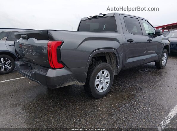 5TFKB5DB1SX256878 2025 TOYOTA TUNDRA Gray Задня права чверть