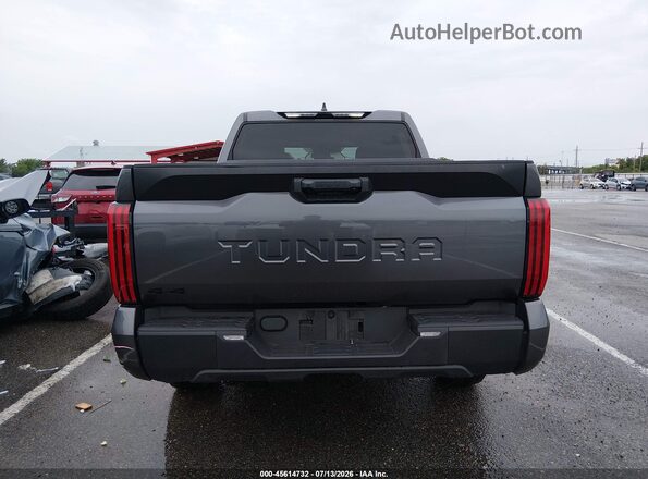 5TFKB5DB1SX256878 2025 TOYOTA TUNDRA Gray 
