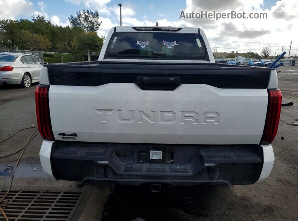 5TFKB5DB5SX274090 2025 TOYOTA TUNDRA White Vista trasera