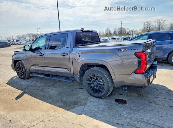 5TFLA5AB3NX009801 2022 TOYOTA TUNDRA Charcoal Задня ліва чверть