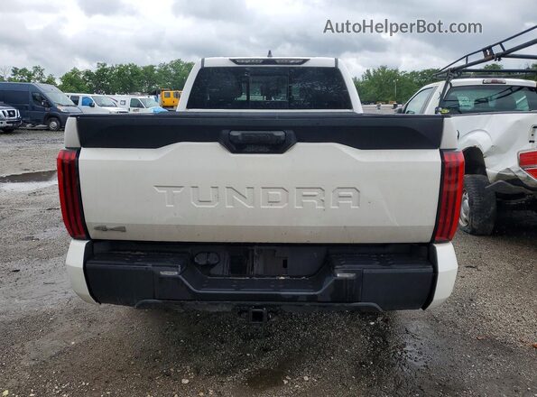 5TFLA5DA1SX293055 2025 TOYOTA TUNDRA White Rear view
