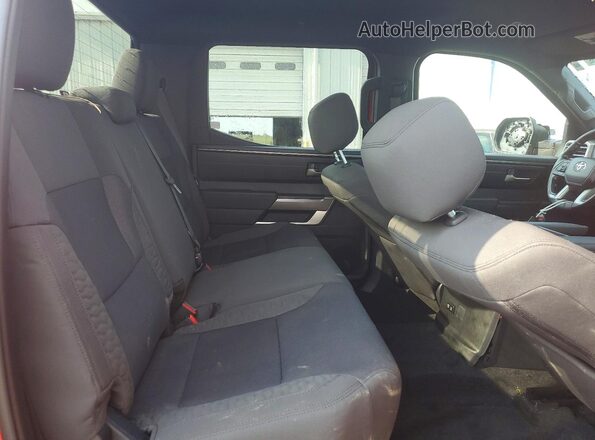5TFLA5DB0SX307715 2025 TOYOTA TUNDRA Red Vista de los asientos traseros