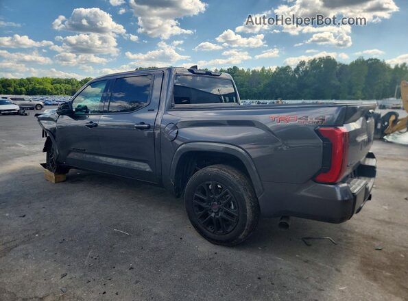 5TFLA5DB1PX097214 2023 TOYOTA TUNDRA Gray Rear left