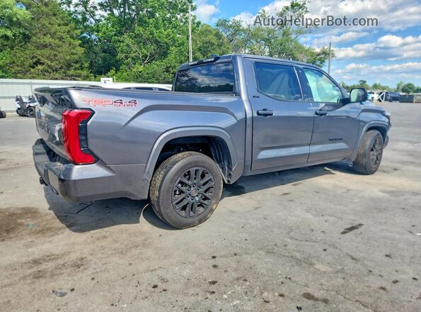 5TFLA5DB1PX097214 2023 TOYOTA TUNDRA Gray Rear right