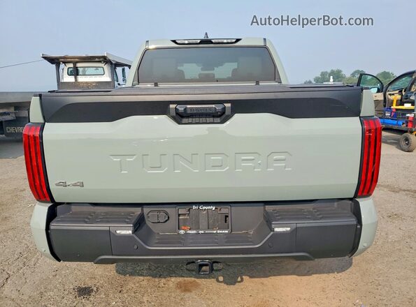 5TFLA5DB1RX156913 2024 TOYOTA TUNDRA Gray უკანა ხედი