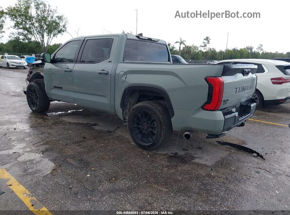 5TFLA5DB1RX177745 2024 TOYOTA TUNDRA Gray Հետևի ձախ