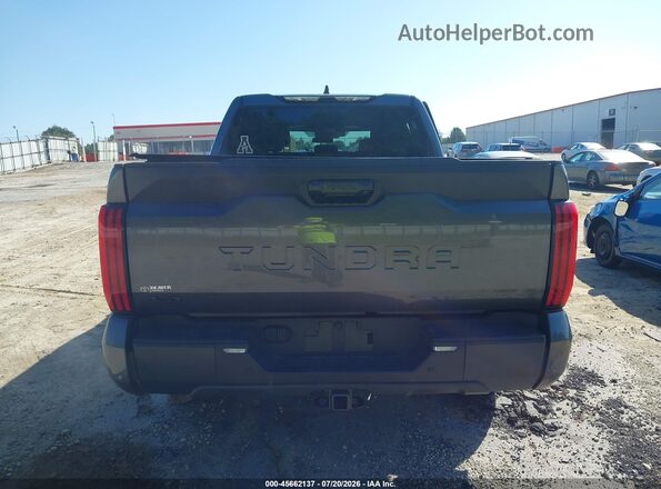 5TFLA5DB1SX296675 2025 TOYOTA TUNDRA Gray 