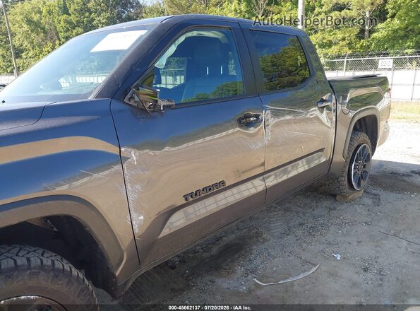 5TFLA5DB1SX296675 2025 TOYOTA TUNDRA Gray 