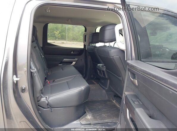 5TFLA5DB2PX125909 2023 TOYOTA TUNDRA Gray Widok naklejki z numerem VIN