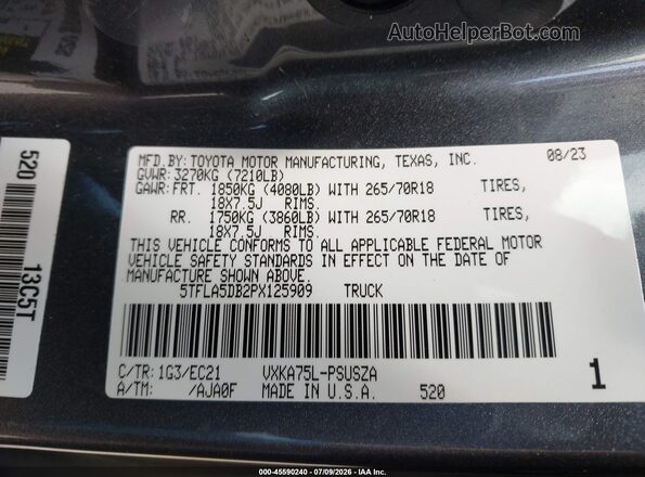 5TFLA5DB2PX125909 2023 TOYOTA TUNDRA Gray Widok komory silnika