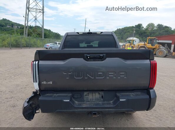 5TFLA5DB2PX125909 2023 TOYOTA TUNDRA Gray 