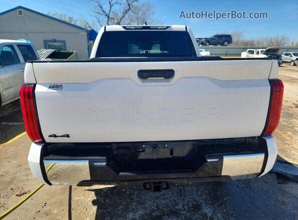5TFLA5DB2SX272188 2025 TOYOTA TUNDRA White Հետևի տեսք