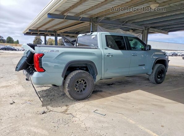 5TFLA5DB3RX185216 2024 TOYOTA TUNDRA Green Tył prawy