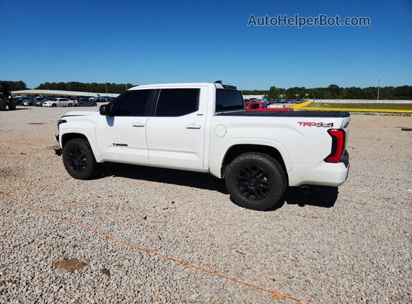 5TFLA5DB3RX198516 2024 TOYOTA TUNDRA White Հետևի ձախ