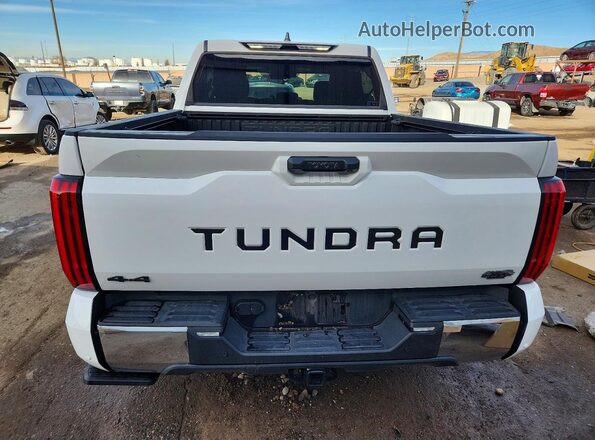 5TFLA5DB5SX244076 2025 TOYOTA TUNDRA White Rear view