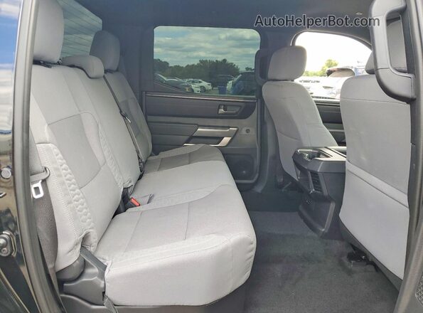 5TFLA5DB5SX288840 2025 TOYOTA TUNDRA Black Rear seats view
