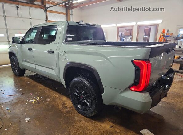 5TFLA5DB5SX295349 2025 TOYOTA TUNDRA Gray Հետևի ձախ