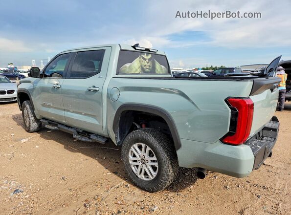 5TFLA5DB6SX291312 2025 TOYOTA TUNDRA Teal Задня ліва чверть