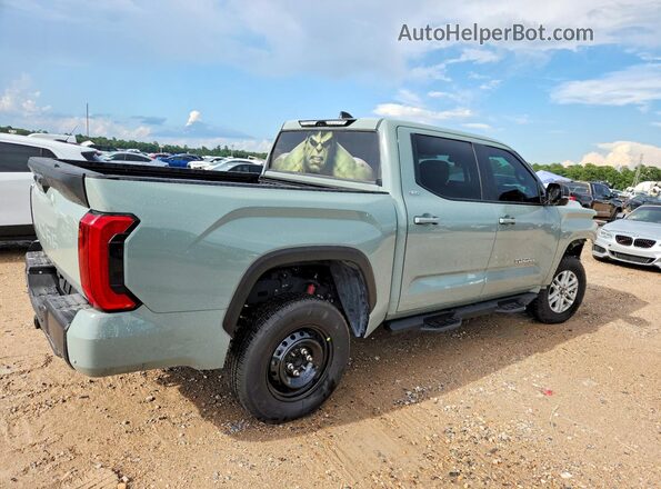 5TFLA5DB6SX291312 2025 TOYOTA TUNDRA Teal Задня права чверть