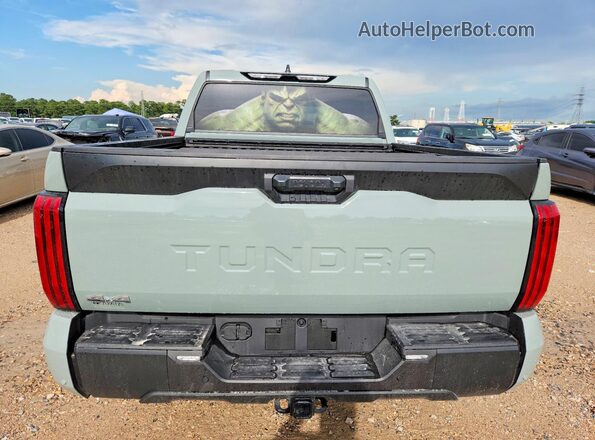 5TFLA5DB6SX291312 2025 TOYOTA TUNDRA Teal Вид ззаду