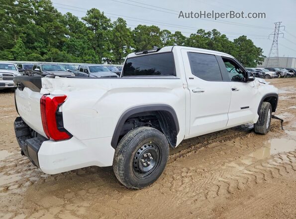 5TFLA5DB7SX291335 2025 TOYOTA TUNDRA White უკანა მარჯვენა