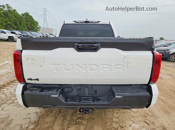 5TFLA5DB7SX291335 2025 TOYOTA TUNDRA White უკანა ხედი