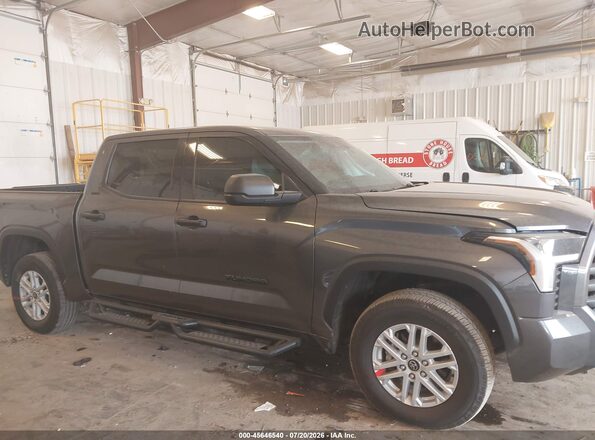 5TFLA5DB8PX062847 2023 TOYOTA TUNDRA Gray Widok wnętrza z tyłu