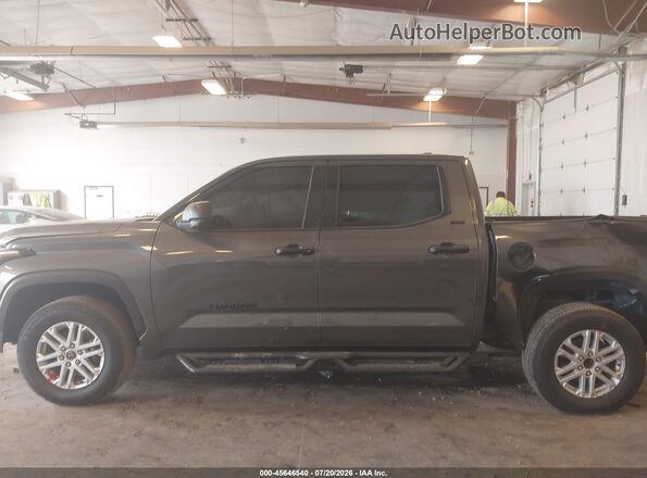 5TFLA5DB8PX062847 2023 TOYOTA TUNDRA Gray Widok wnętrza 360 stopni