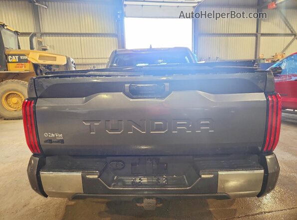 5TFLA5ECXPX018498 2023 TOYOTA TUNDRA Charcoal უკანა ხედი