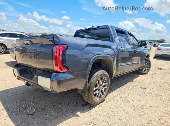 5TFMA5AB6RX035965 2024 TOYOTA TUNDRA Gray უკანა მარჯვენა