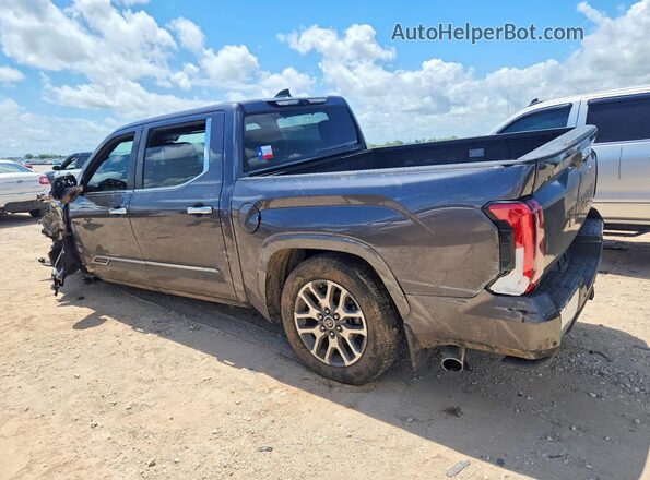5TFMA5AB6RX035965 2024 TOYOTA TUNDRA Gray უკანა მარცხენა