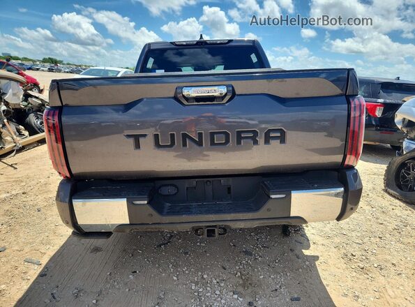 5TFMA5AB6RX035965 2024 TOYOTA TUNDRA Gray უკანა ხედი