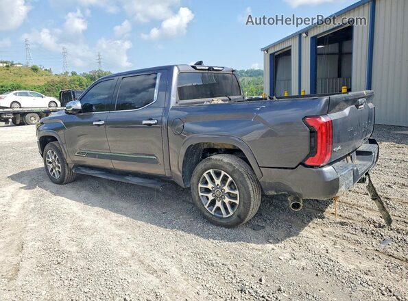 5TFMA5DB0PX124908 2023 TOYOTA TUNDRA Gray უკანა მარცხენა