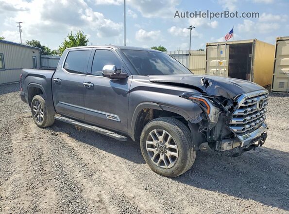 5TFMA5DB0PX124908 2023 TOYOTA TUNDRA Gray წინა მარჯვენა