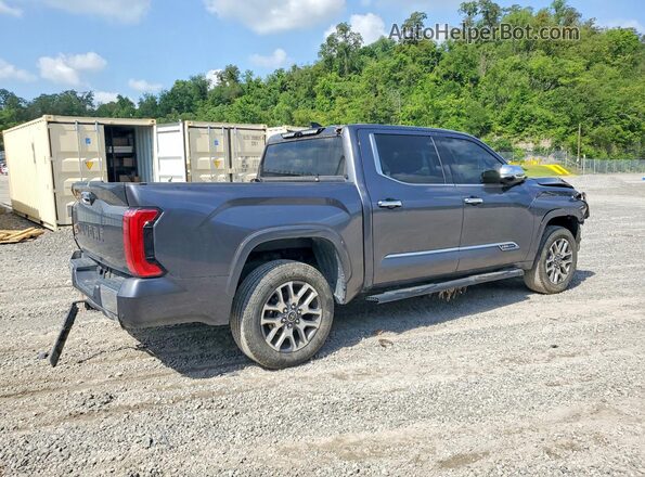 5TFMA5DB0PX124908 2023 TOYOTA TUNDRA Gray უკანა მარჯვენა