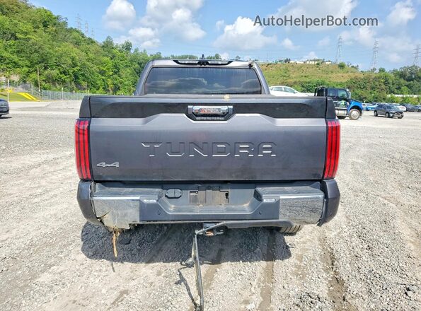 5TFMA5DB0PX124908 2023 TOYOTA TUNDRA Gray უკანა ხედი