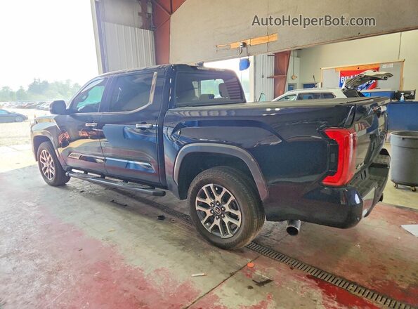 5TFMA5DB1RX189723 2024 TOYOTA TUNDRA Blue უკანა მარცხენა