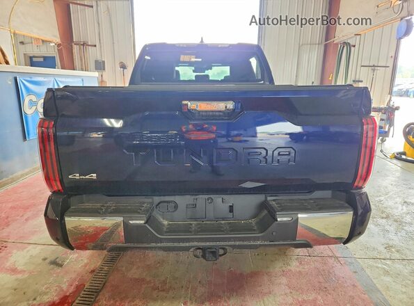 5TFMA5DB1RX189723 2024 TOYOTA TUNDRA Blue უკანა ხედი