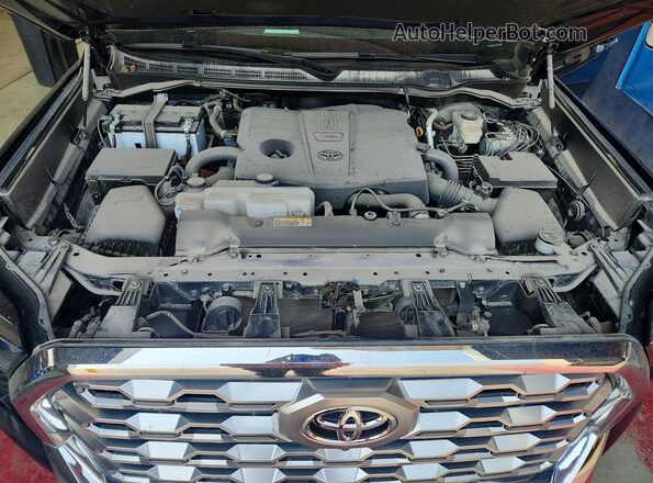 5TFMA5DB1RX189723 2024 TOYOTA TUNDRA Blue უკანა სალონის ხედი