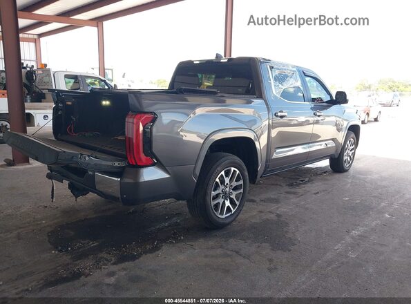 5TFMA5DB1SX284238 2025 TOYOTA TUNDRA Gray უკანა მარჯვენა