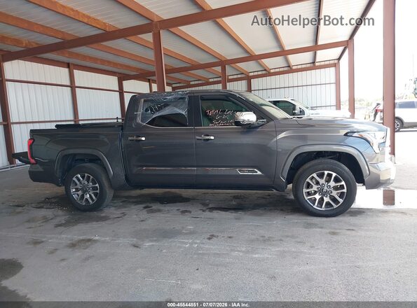 5TFMA5DB1SX284238 2025 TOYOTA TUNDRA Gray უკანა სალონის ხედი