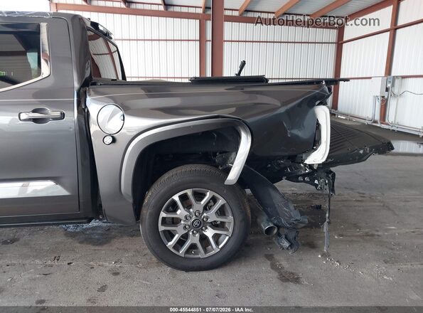 5TFMA5DB1SX284238 2025 TOYOTA TUNDRA Gray 