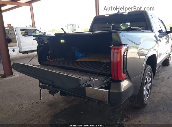 5TFMA5DB1SX284238 2025 TOYOTA TUNDRA Gray 